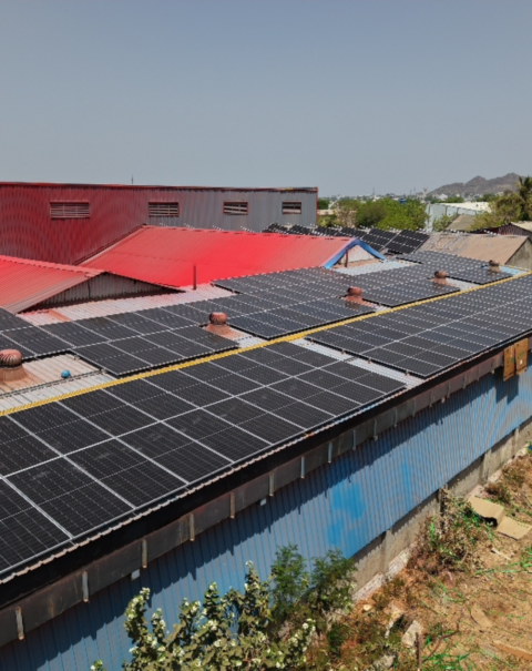 Untitled design (57)